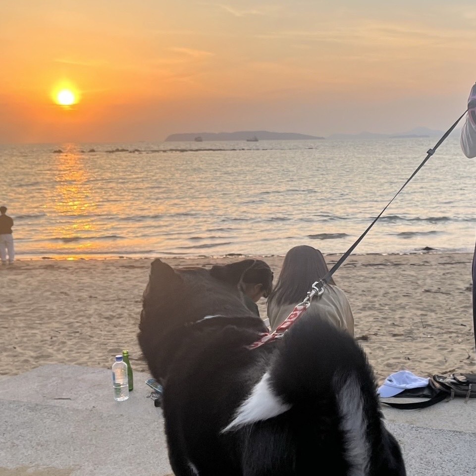村上彫刻 佐世保 ブログ スタッフ 仲間 海 九十九島 夕日