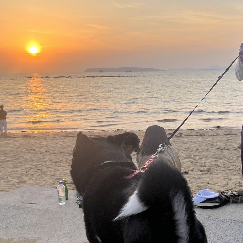 村上彫刻　佐世保　ブログ　スタッフ　仲間　海　九十九島　夕日